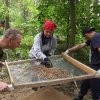 Исследование курганных могильников Славгородского района (2016-2017)